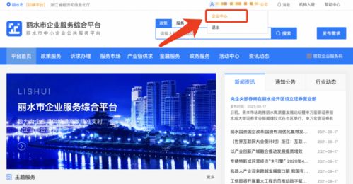 麗水企業 2021年中小微企業服務券申領正式啟動，助力信息技術咨詢服務發展