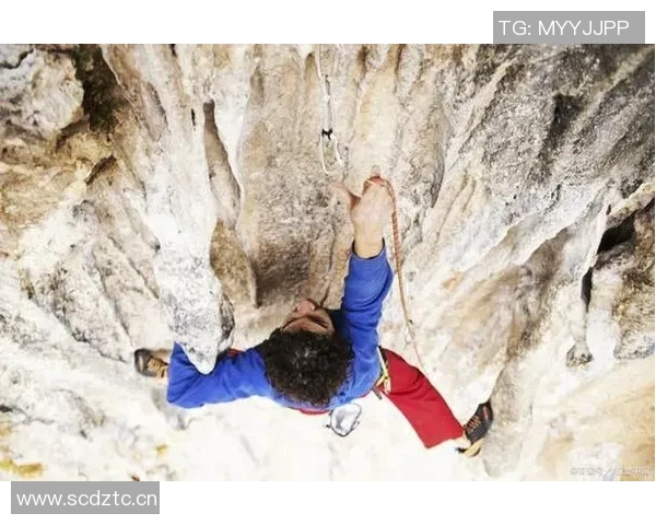 成都攀岩队灵活性对比分析揭示训练策略与表现差异