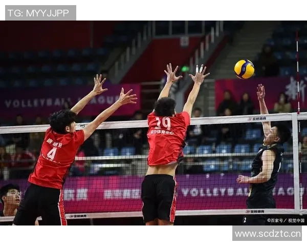 杨强独家分享排球技巧与心得助你提升球技的全面指南 杨强独家分享排球技巧与心得助你提升球技的全面指南